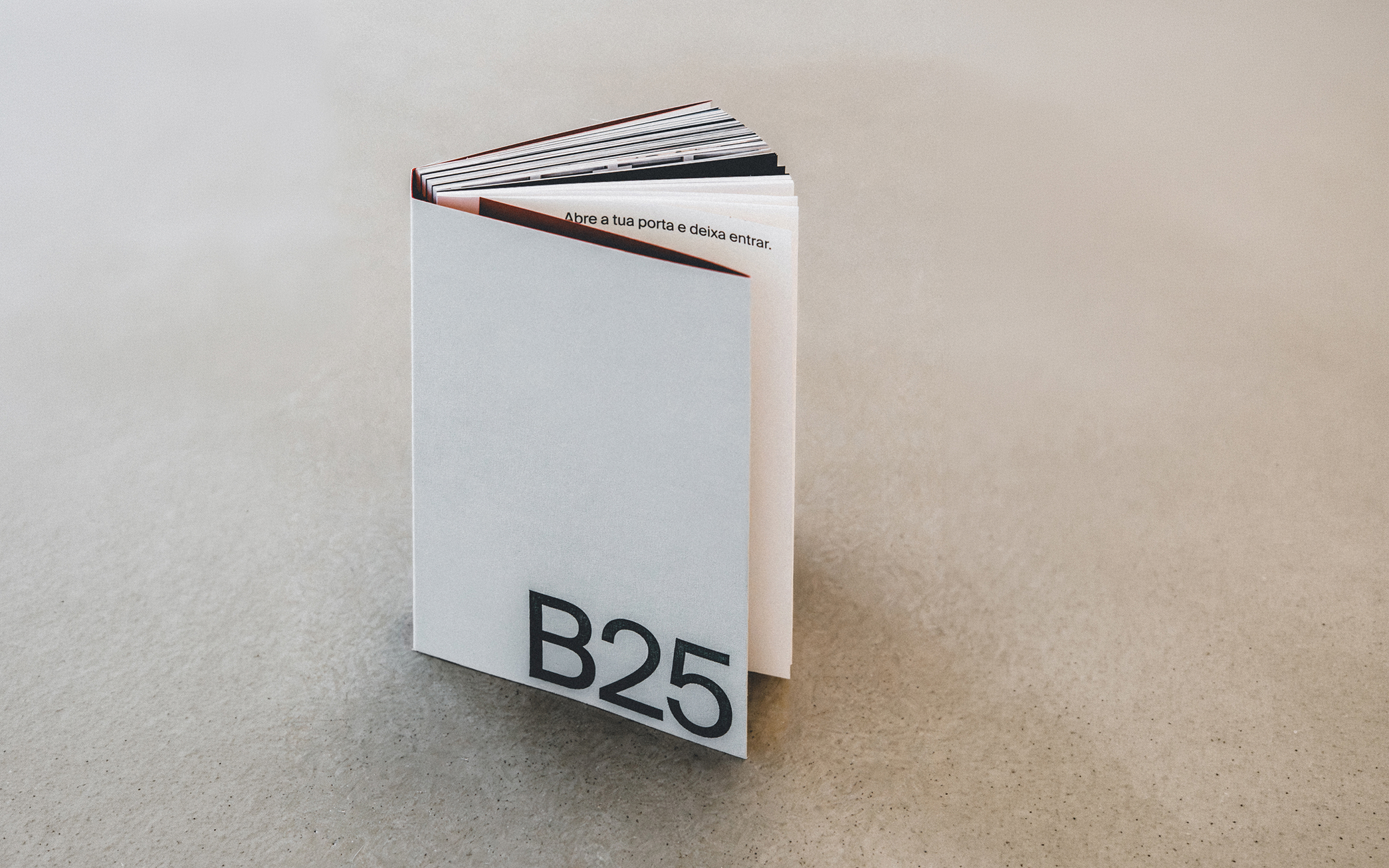 Livro B25