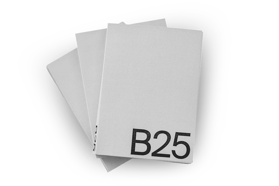 Livro B25